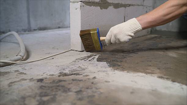 SJ Waterproofing Pros Exterior Waterproofing coverage map for Stevenson, AL and surrounding area
